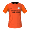 Brighton and Hove Albion away V2 mini.png