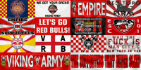 New York Red Bulls banner.png