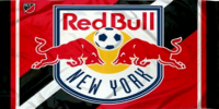 New York Red Bulls flag 03.png