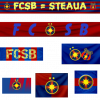 FCSB.png