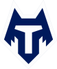 FC_Tambov_2020_logo.png