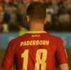 Paderborn 2020-21 Away Kit Rear Closeup.png
