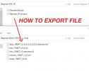 FIFA Export File.jpg
