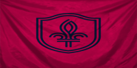 Saint Louis City SC Flag 08.png