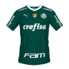 Palmeiras 2022 Home Libertadores mini.png
