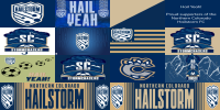 Northern Colorado Hailstorm banners.png