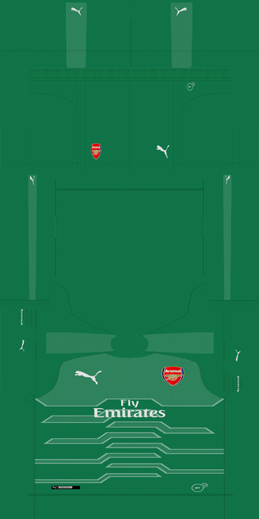 Arsenal 2018-19 GK Kit HD v2.png