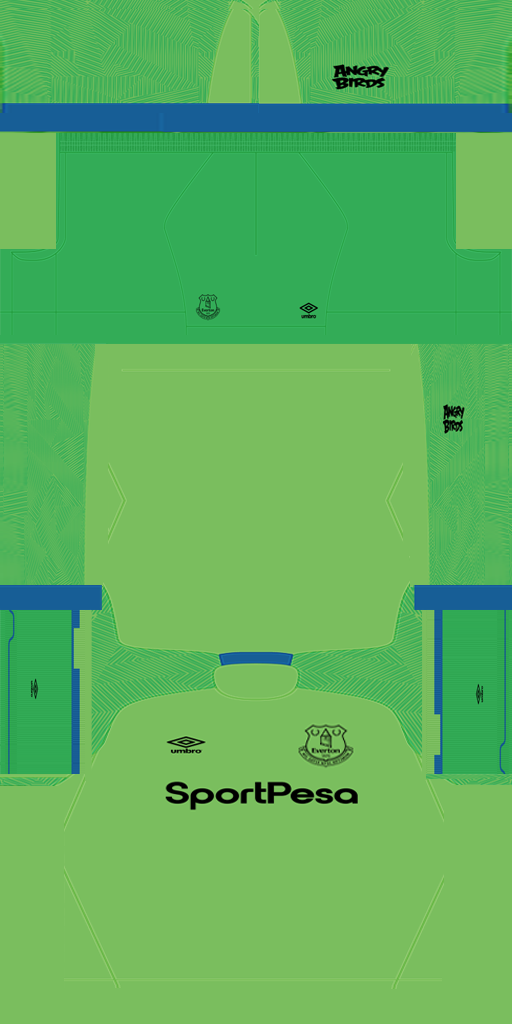 Everton 2018-19 GK Kit HD.png