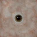 eyes_12_1_textures_1.png