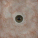eyes_13_1_textures_1.png
