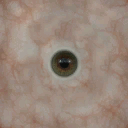 eyes_5_1_textures_1.png