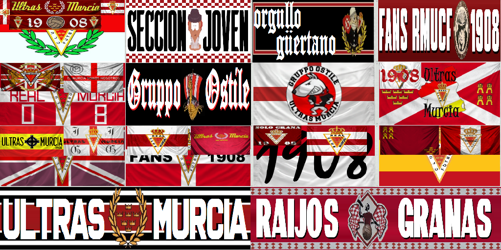 F14   REAL MURCIA  MNLX.png