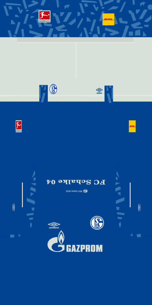 FC Schalke 04 19-20h.png
