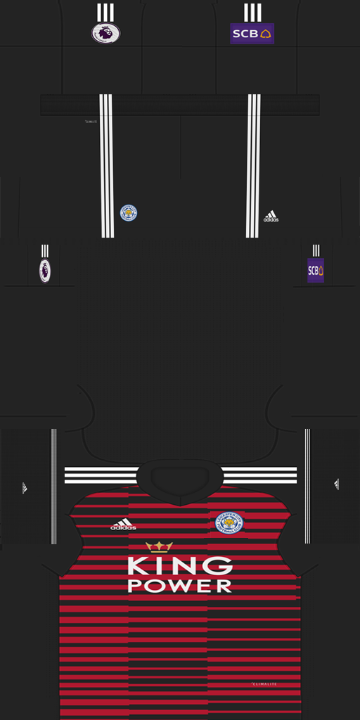 Leicester City 2018-19 GK Kit HD.png