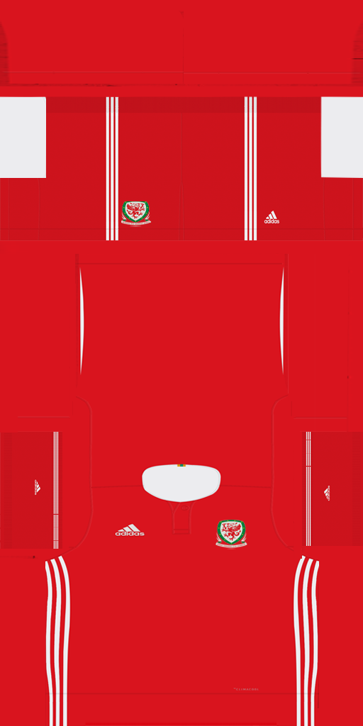 WALES 2018 WORLD CUP HOME KIT V2.png